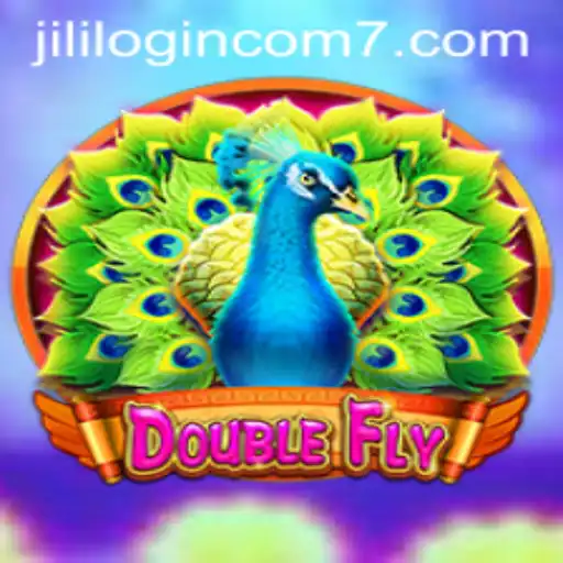 DoubleFly: Exploring the Thrilling Universe of Modern Gaming
